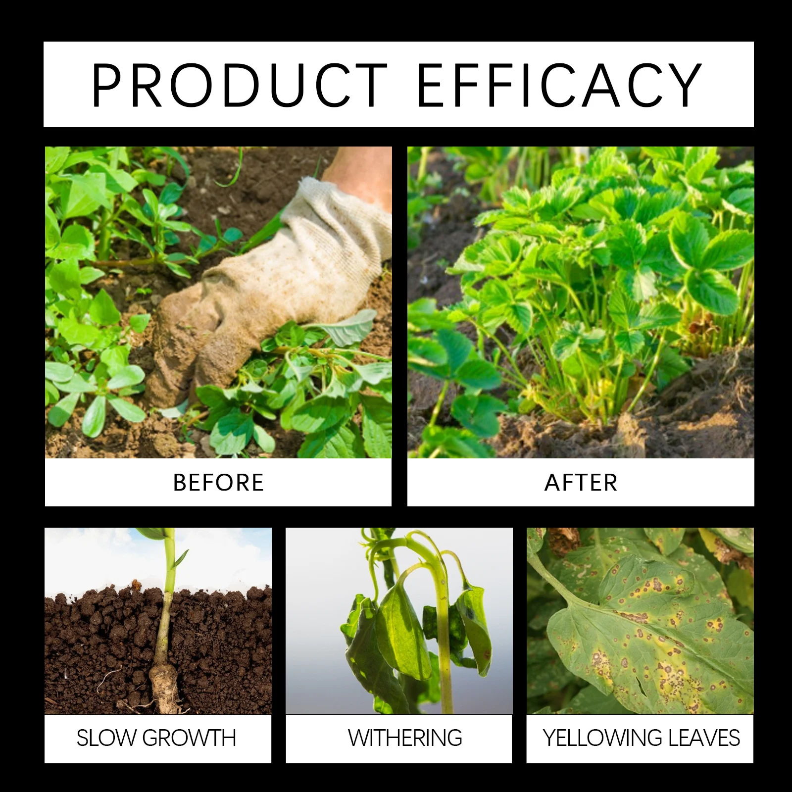 Hydroponic AB Plant Food Nutrient Powder for Vegetables and Fruits 11 hydroponic plant food nutrient powder spu905645458805 desc 11