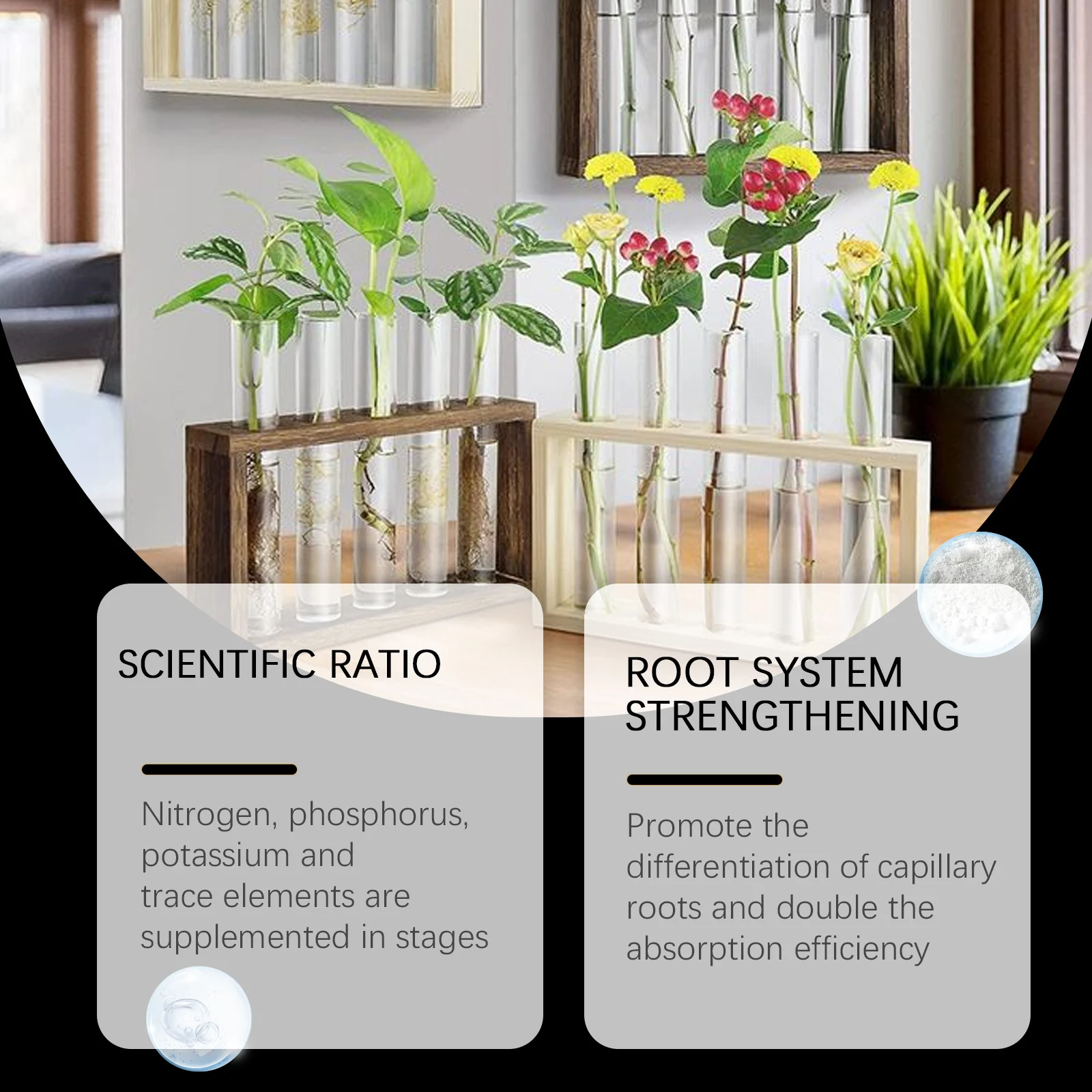 Hydroponic AB Plant Food Nutrient Powder for Vegetables and Fruits 5 hydroponic plant food nutrient powder spu905645458805 desc 5