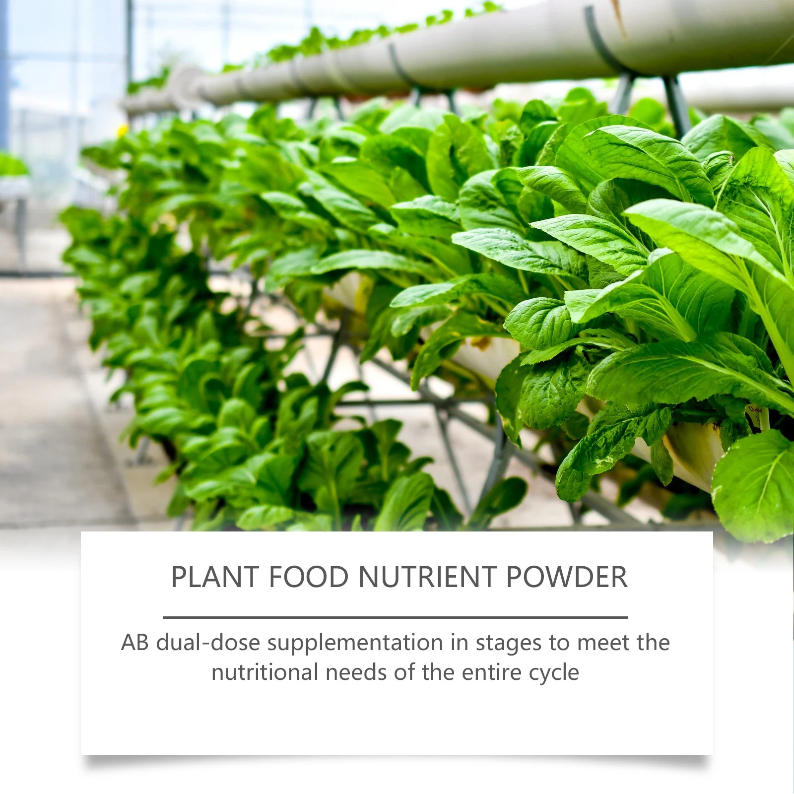 Hydroponic AB Plant Food Nutrient Powder for Vegetables and Fruits 6 hydroponic plant food nutrient powder spu905645458805 desc 6