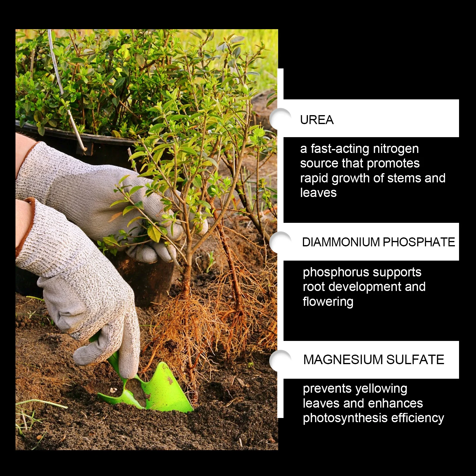 Hydroponic AB Plant Food Nutrient Powder for Vegetables and Fruits 7 hydroponic plant food nutrient powder spu905645458805 desc 7