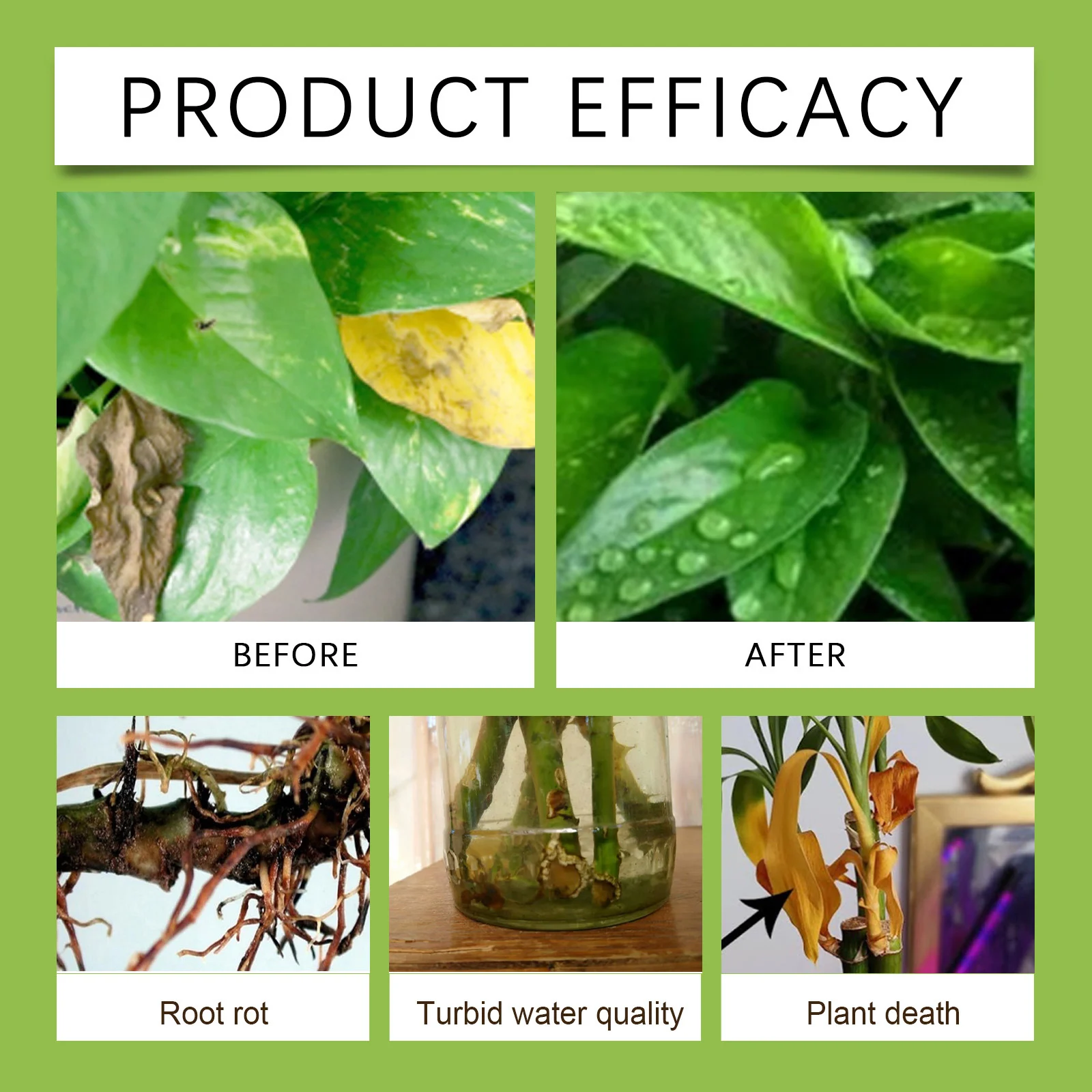 Microbial Flower Fertilizer for Indoor & Outdoor Plants - 100g 11 microbial flower fertilizer spu986981798088 desc 11