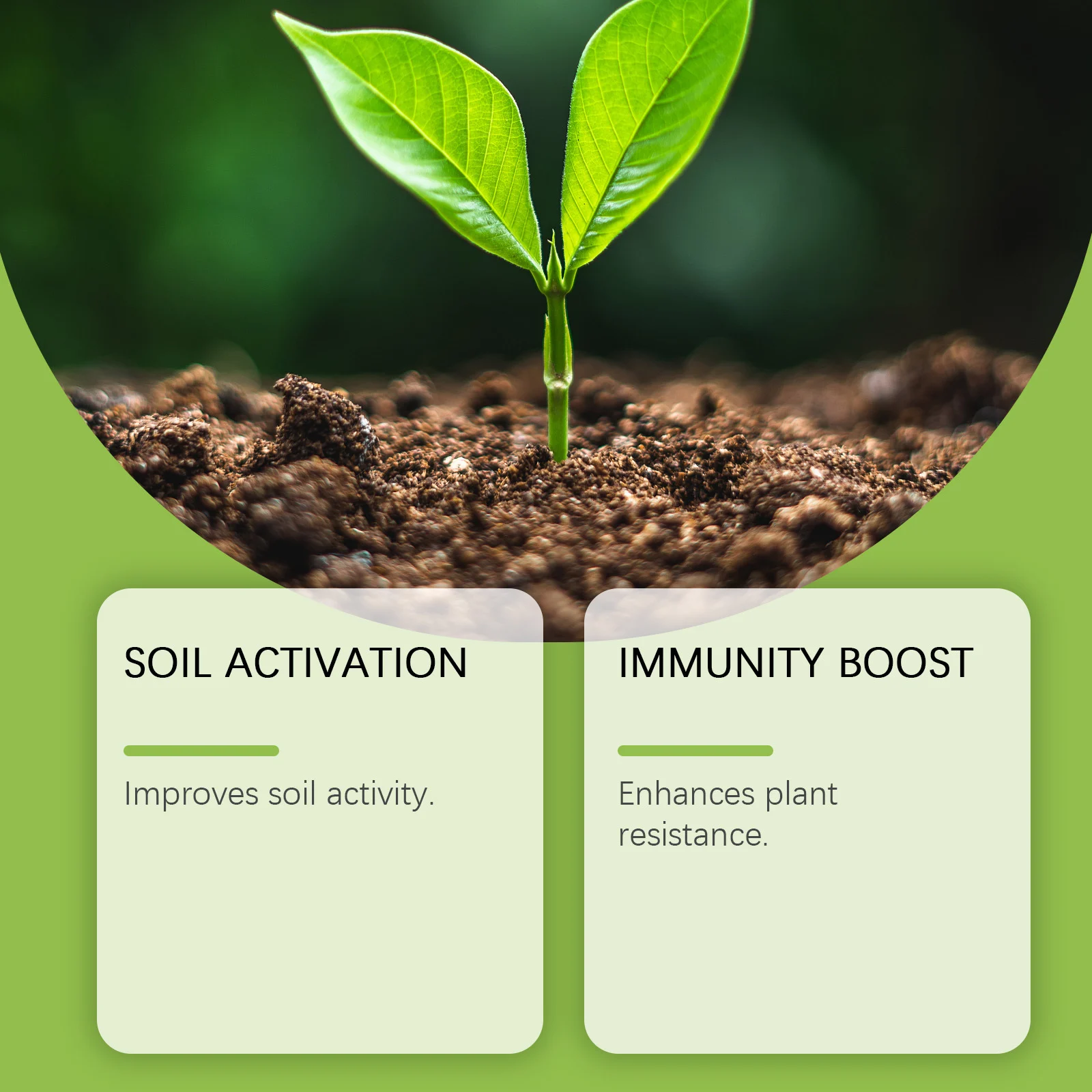 Microbial Flower Fertilizer for Indoor & Outdoor Plants - 100g 5 microbial flower fertilizer spu986981798088 desc 5
