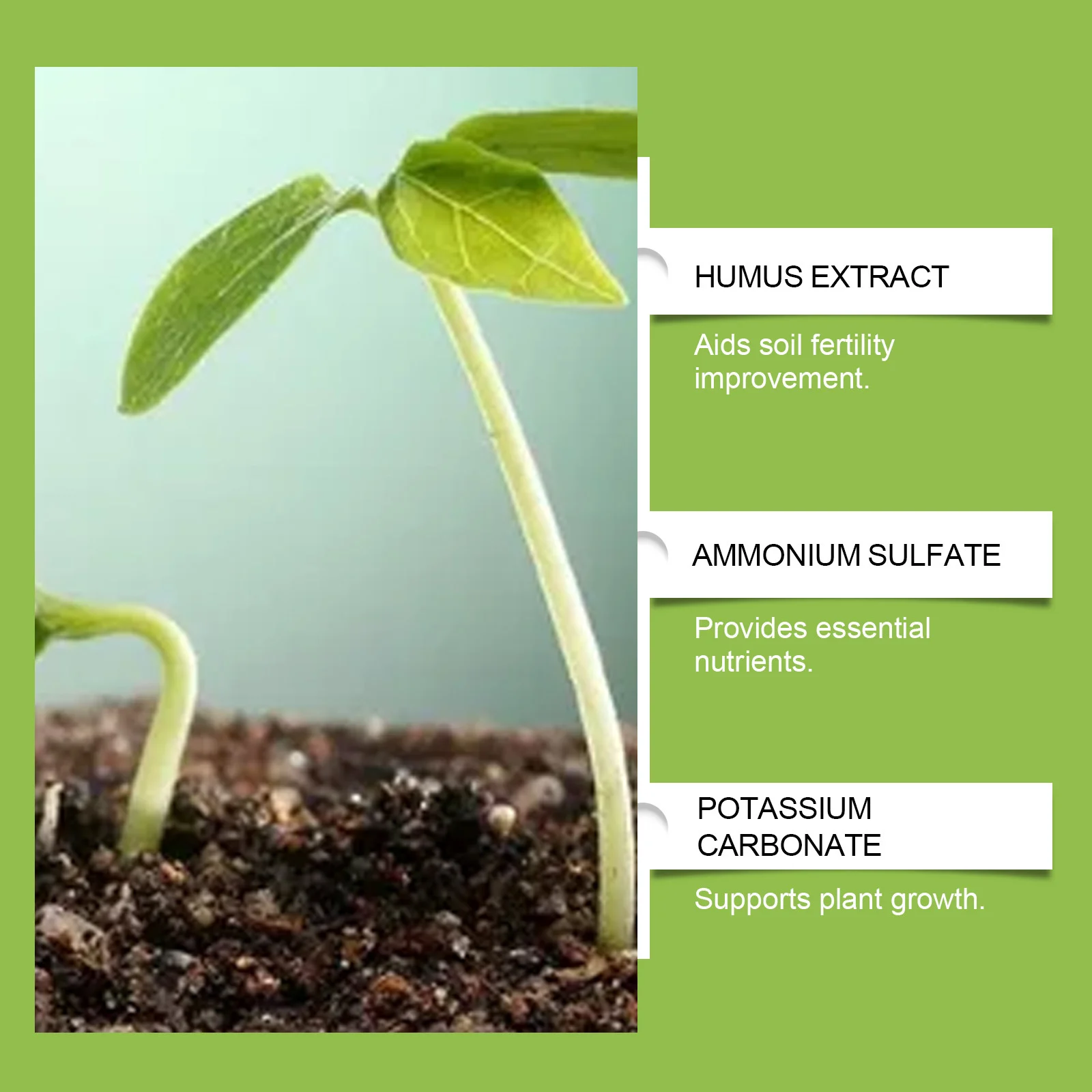 Microbial Flower Fertilizer for Indoor & Outdoor Plants - 100g 7 microbial flower fertilizer spu986981798088 desc 7