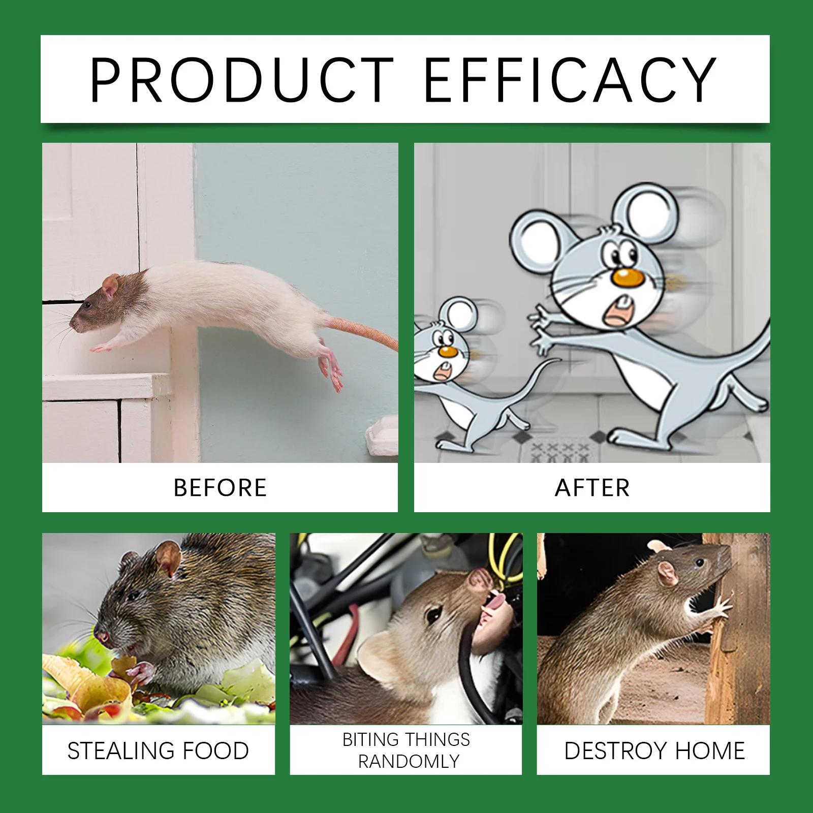 Peppermint Rodent Repellent Spray - Natural Indoor & Outdoor Protection 12 peppermint rodent repellent spray spu802747487224 desc 12