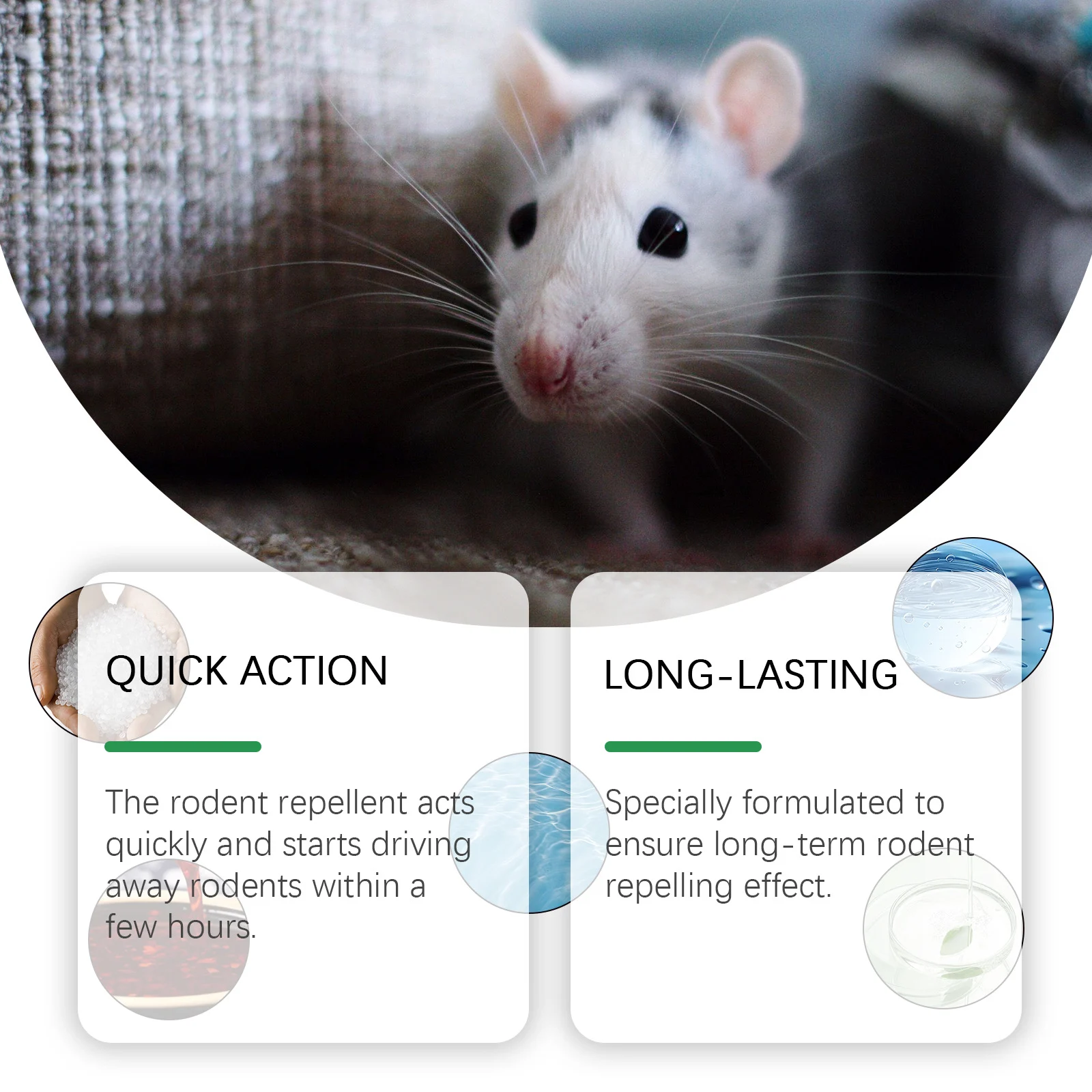 Peppermint Rodent Repellent Spray - Natural Indoor & Outdoor Protection 6 peppermint rodent repellent spray spu802747487224 desc 6