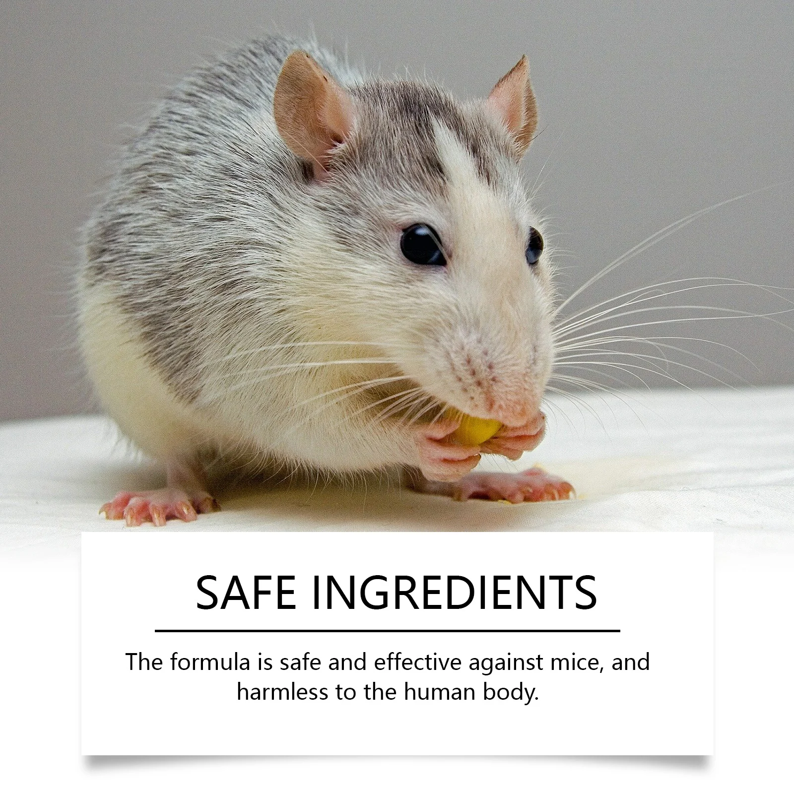 Peppermint Rodent Repellent Spray - Natural Indoor & Outdoor Protection 8 peppermint rodent repellent spray spu802747487224 desc 8