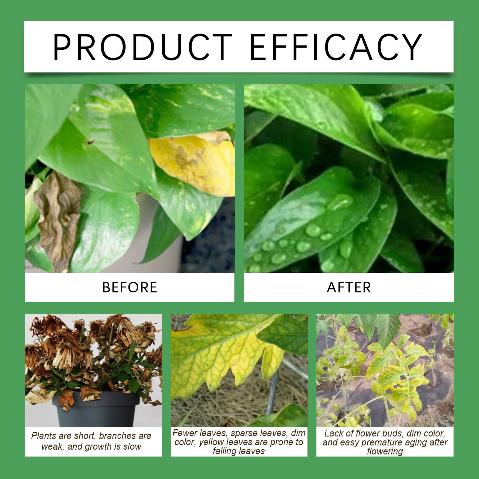Rapid Rooting Liquid for Indoor and Outdoor Plants - 50ml 11 rapid rooting liquid spu822587702610 desc 11