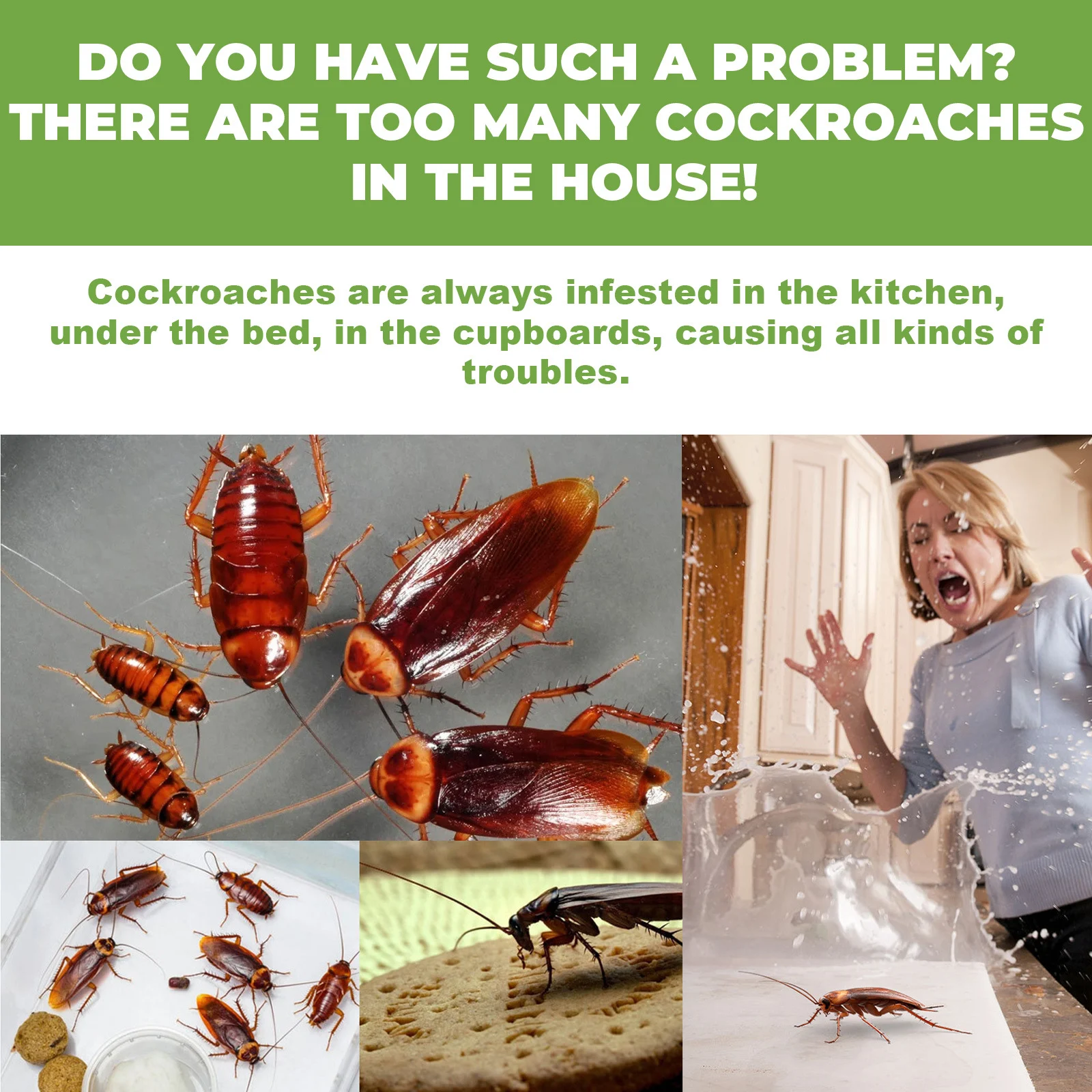 Roach Repellent Bait Traps - 12-Piece Home Infestation Kit 6 roach repellent bait traps spu777098188805 desc 6