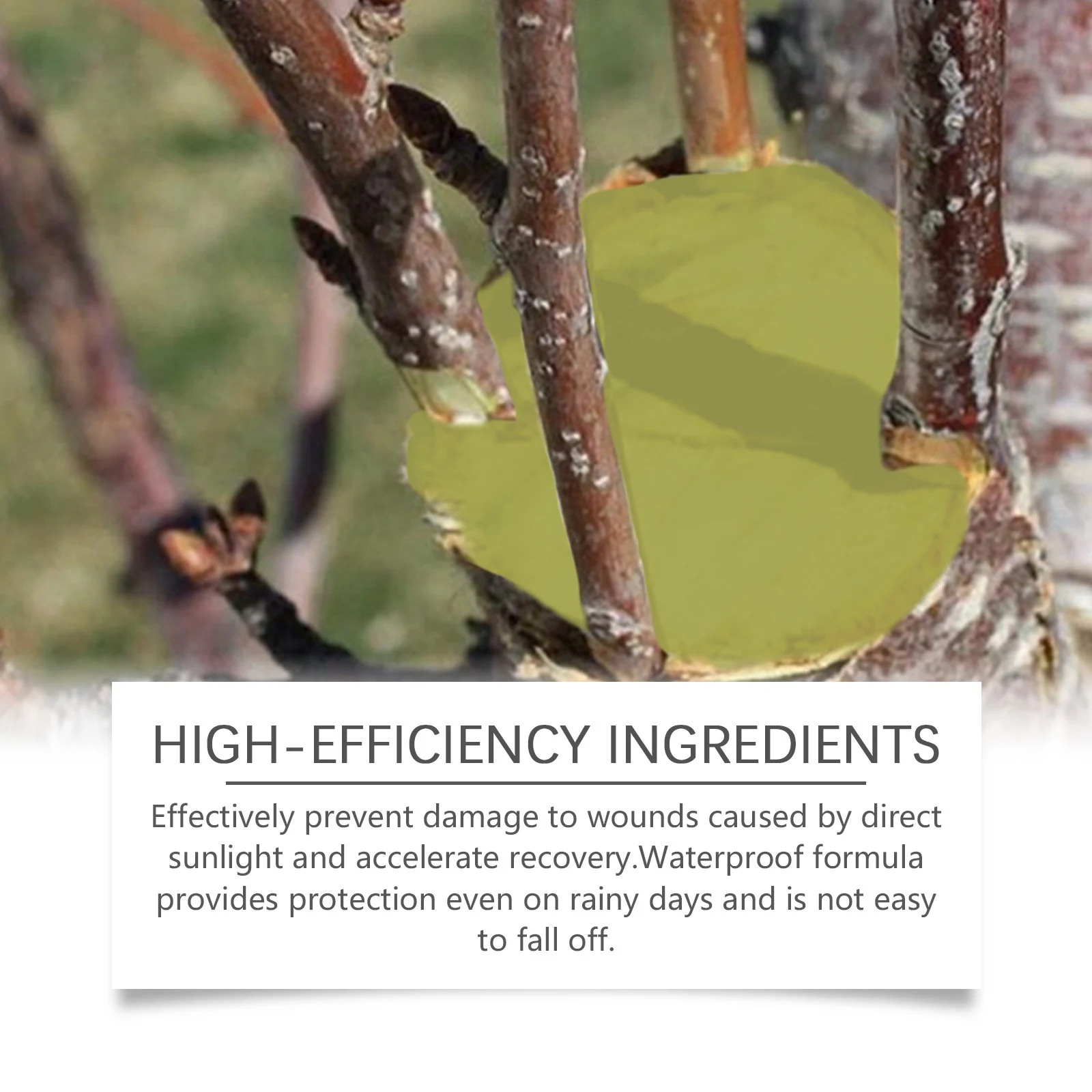 Tree Wound Dressing for Pruning and Grafting - 100g Healing Paste 6 tree wound healing paste spu913181056852 desc 6